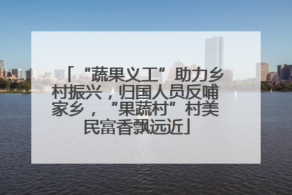 “蔬果义工”助力乡村振兴，归国人员反哺家乡，“果蔬村”村美民富香飘远近